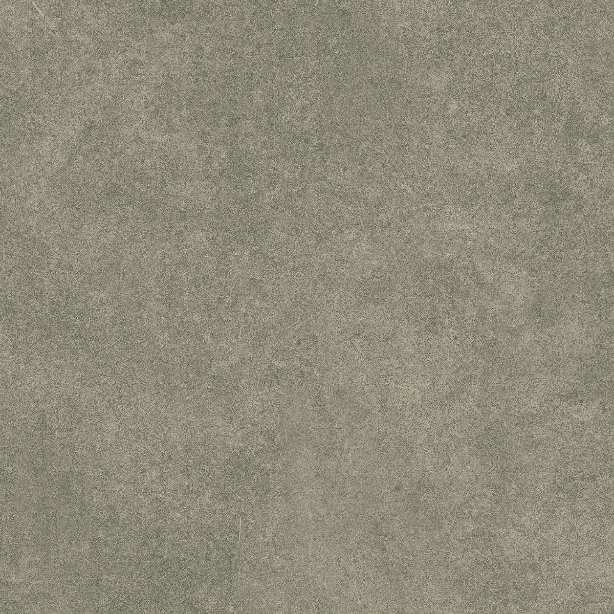 N100013 Levels Forest Matt 20x20 Neodom