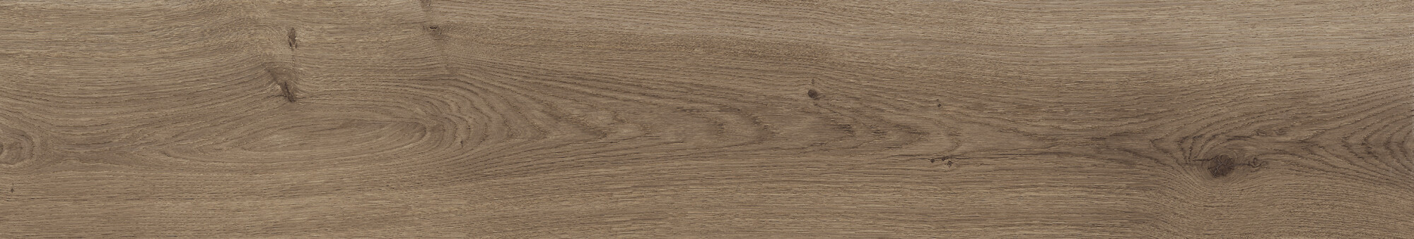 41729 Bloom Cognac SP/24x151x0,9/R 24x151 Peronda