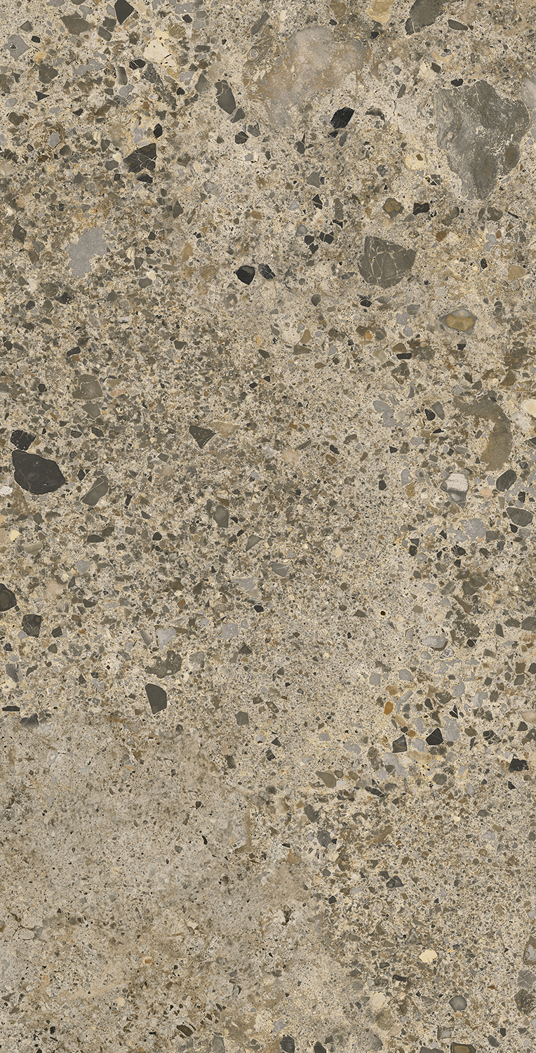 AC126196A Pietra Viva Matt 60x120 Artecera
