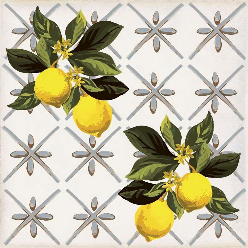Giardino Bianco Mix Luc 20x20 Sant Agostino