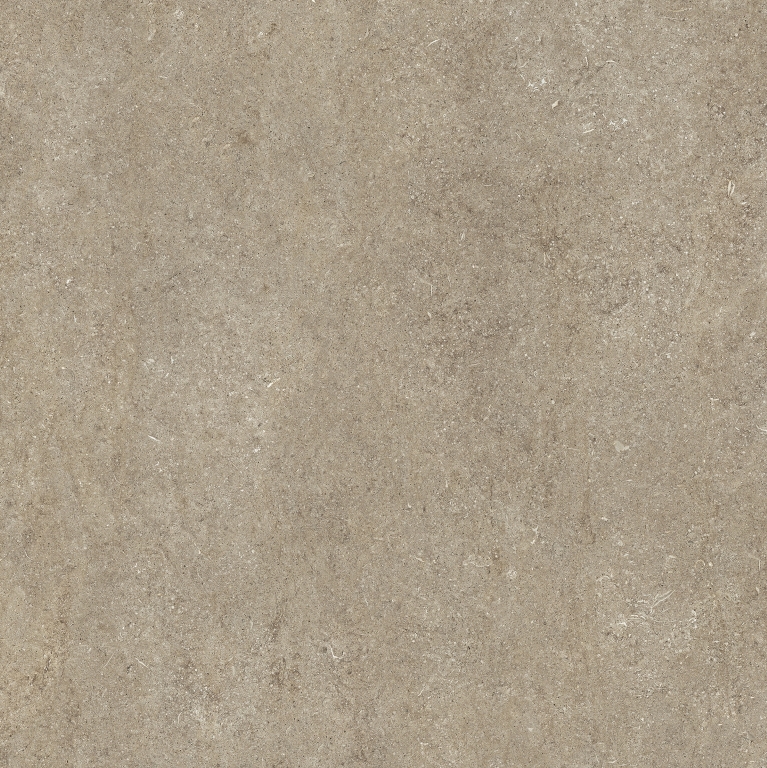 768558 Sensi Taupe Fossil Nat Ret 6mm 120x120 Casa Dolce Casa