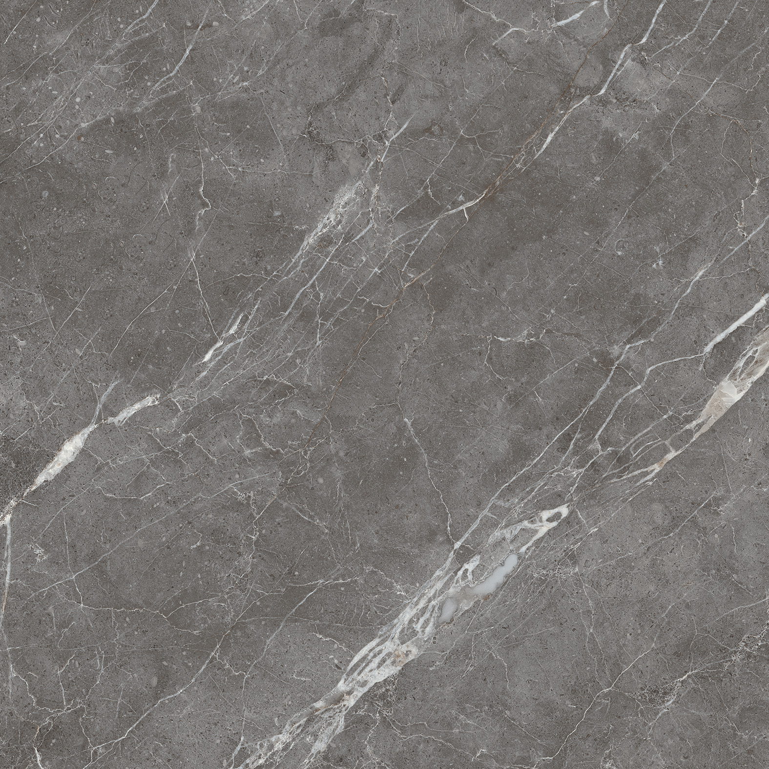 CR6001-A Esperia Grigio Carving 60x60 Arcadia Ceramica фото 10