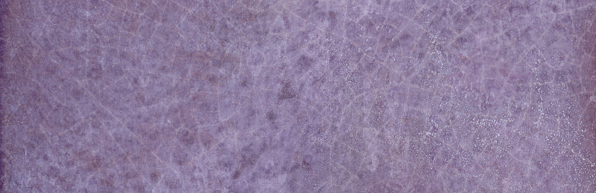 29015 Dyroy Aubergine 6.5x20 Peronda фото 22
