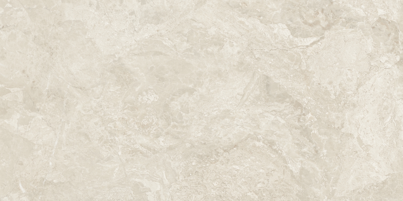 Canyon Bone Rect 60x120 Baldocer