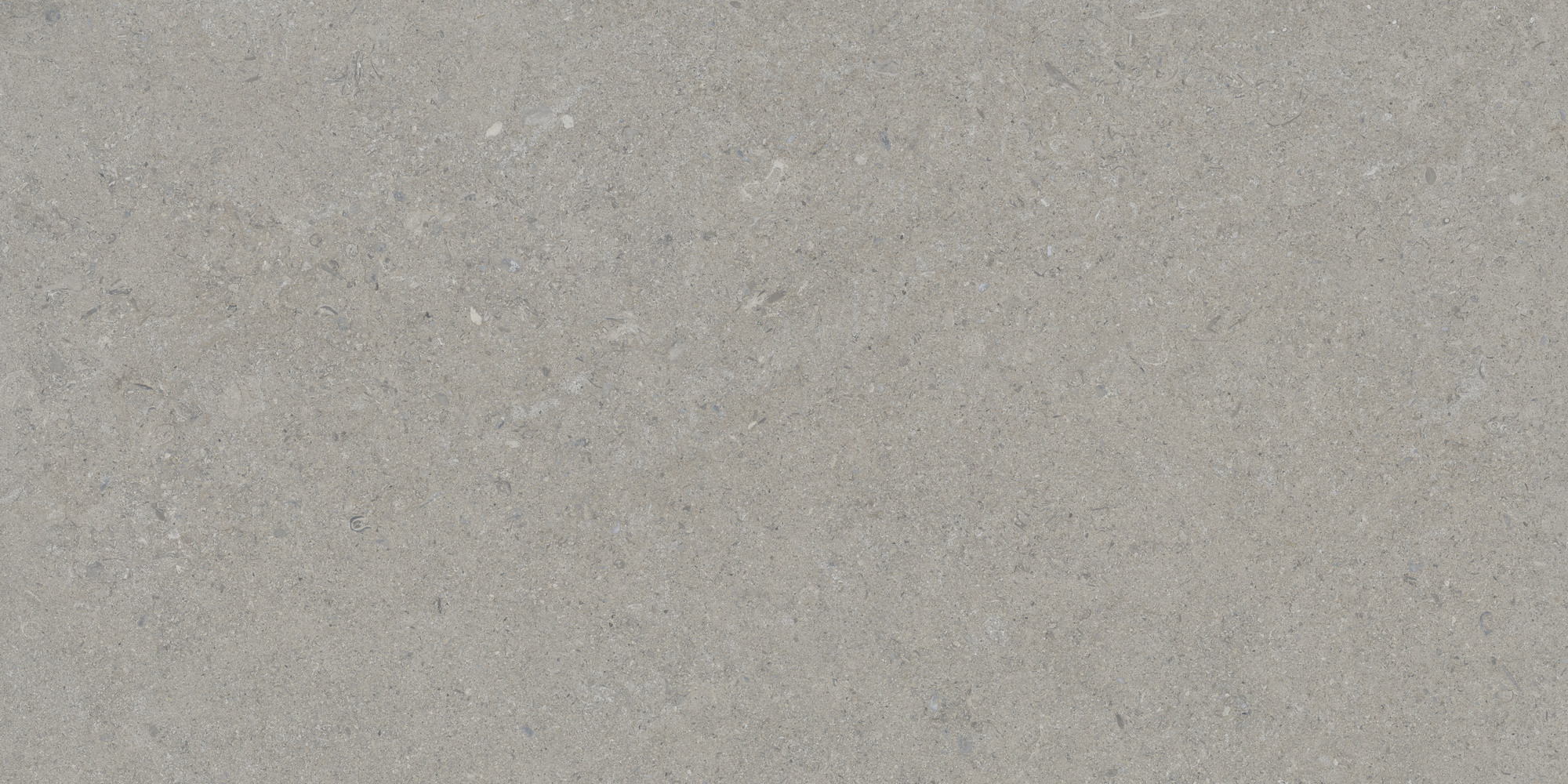 Calcare Silver 60x120 TAU Ceramica фото 3