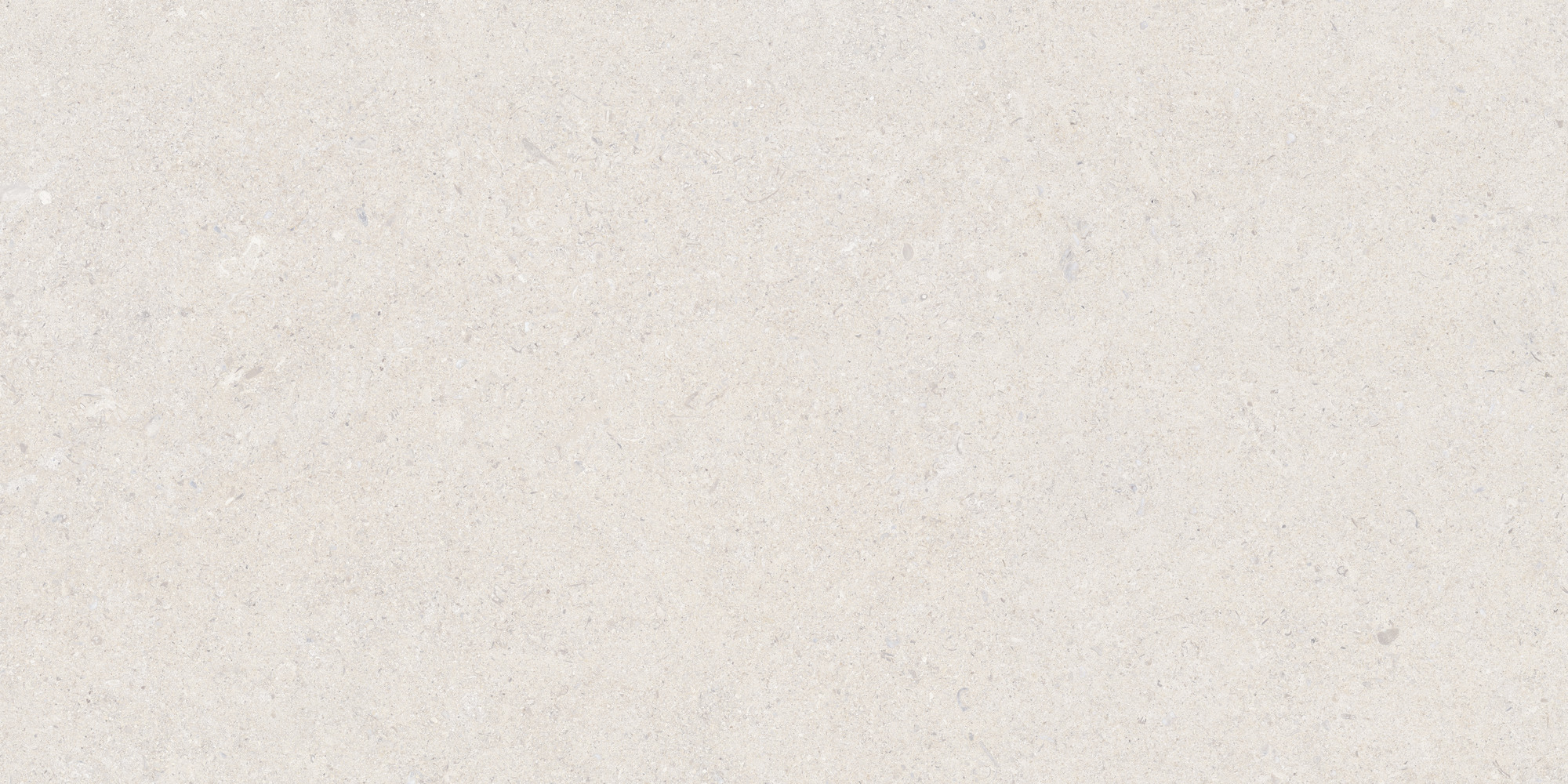 Calcare White 60x120 TAU Ceramica фото 2