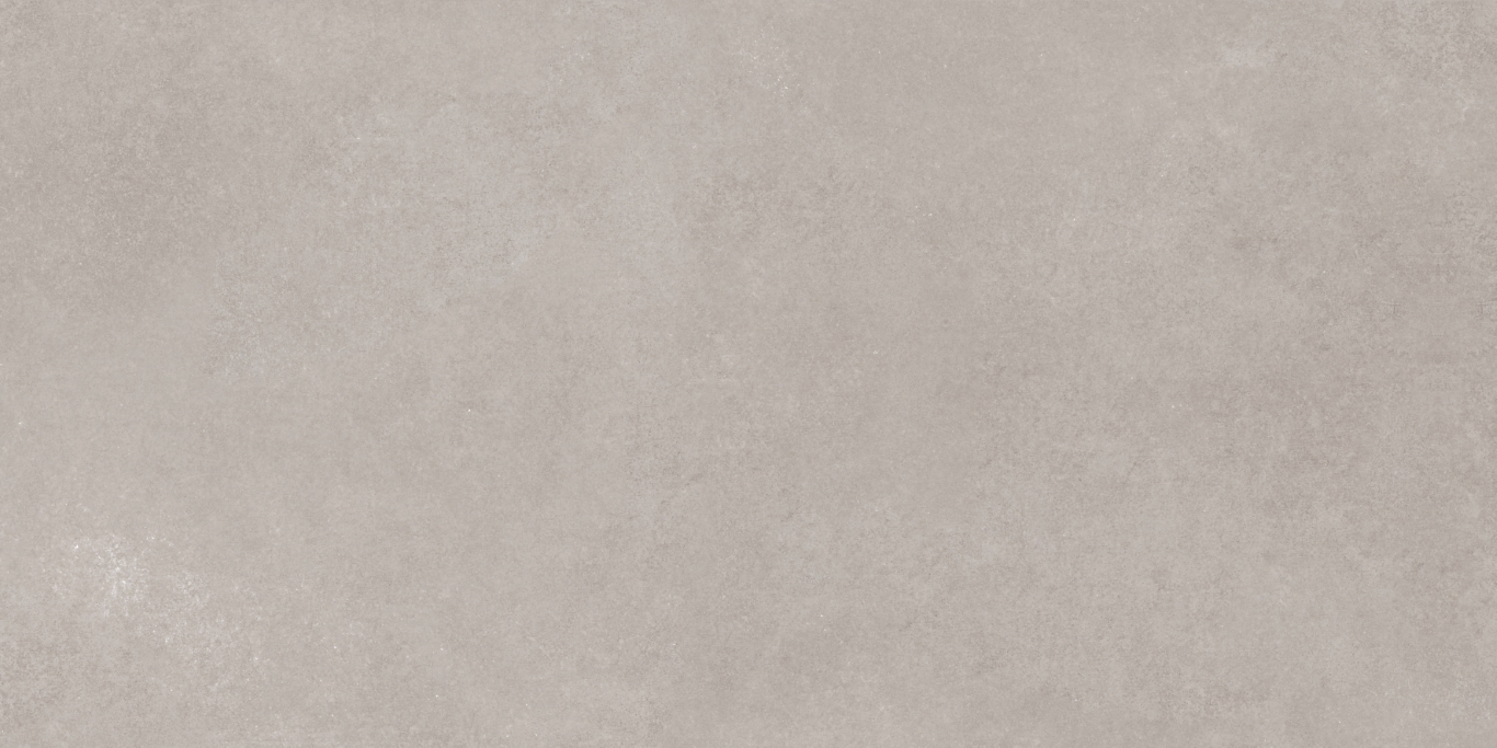 17534 Still серый ректификат 60x120 Meissen