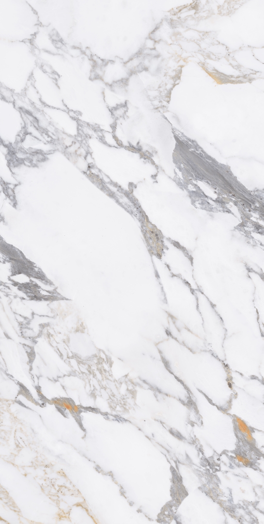 Arabescato Silver Glossy 60x120 Modern Tile