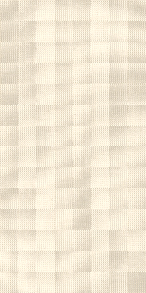 600010002161 Room Beige Texture 40x80 Italon