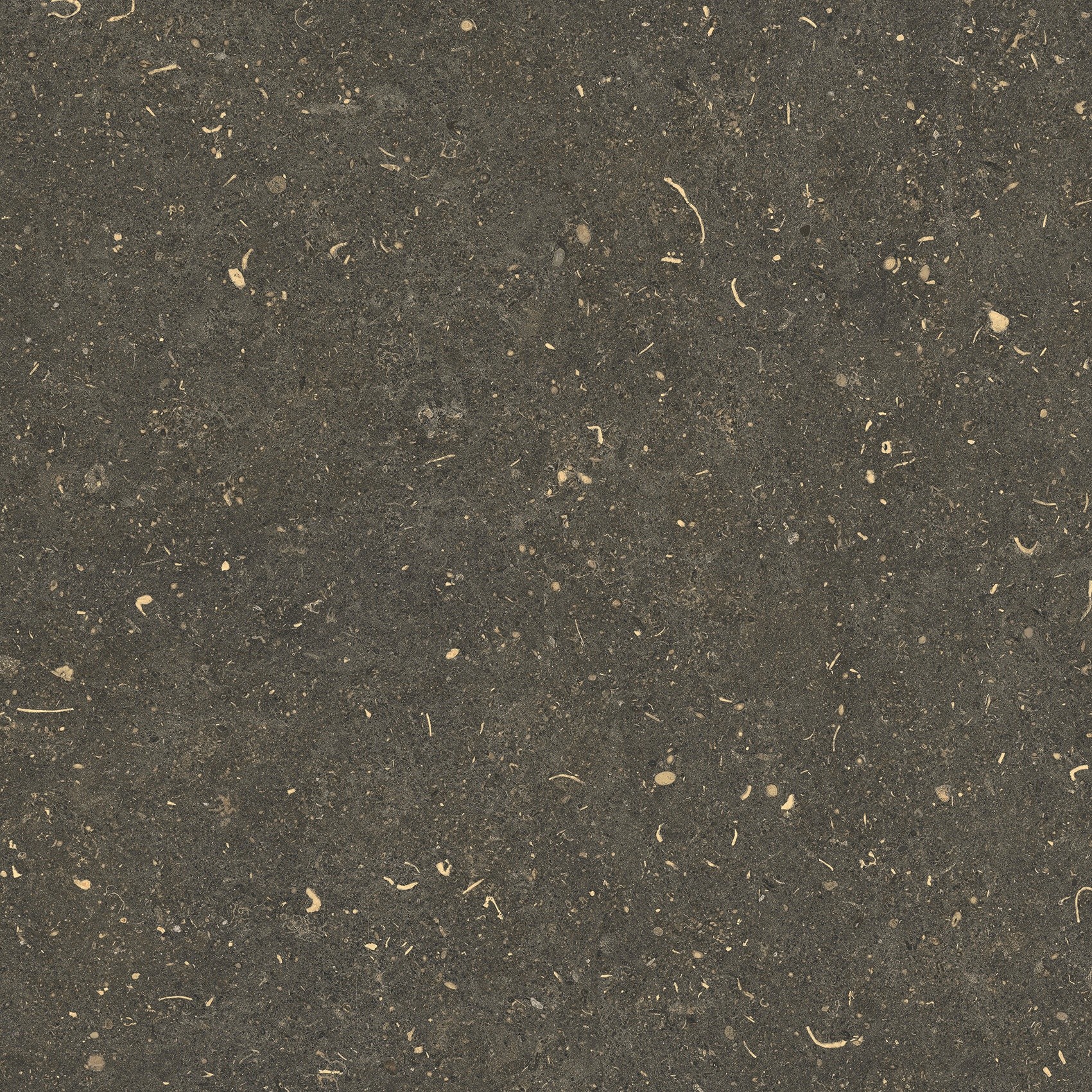 785487 Rinascenza Arena Platino Matte 60x60 Casa Dolce Casa