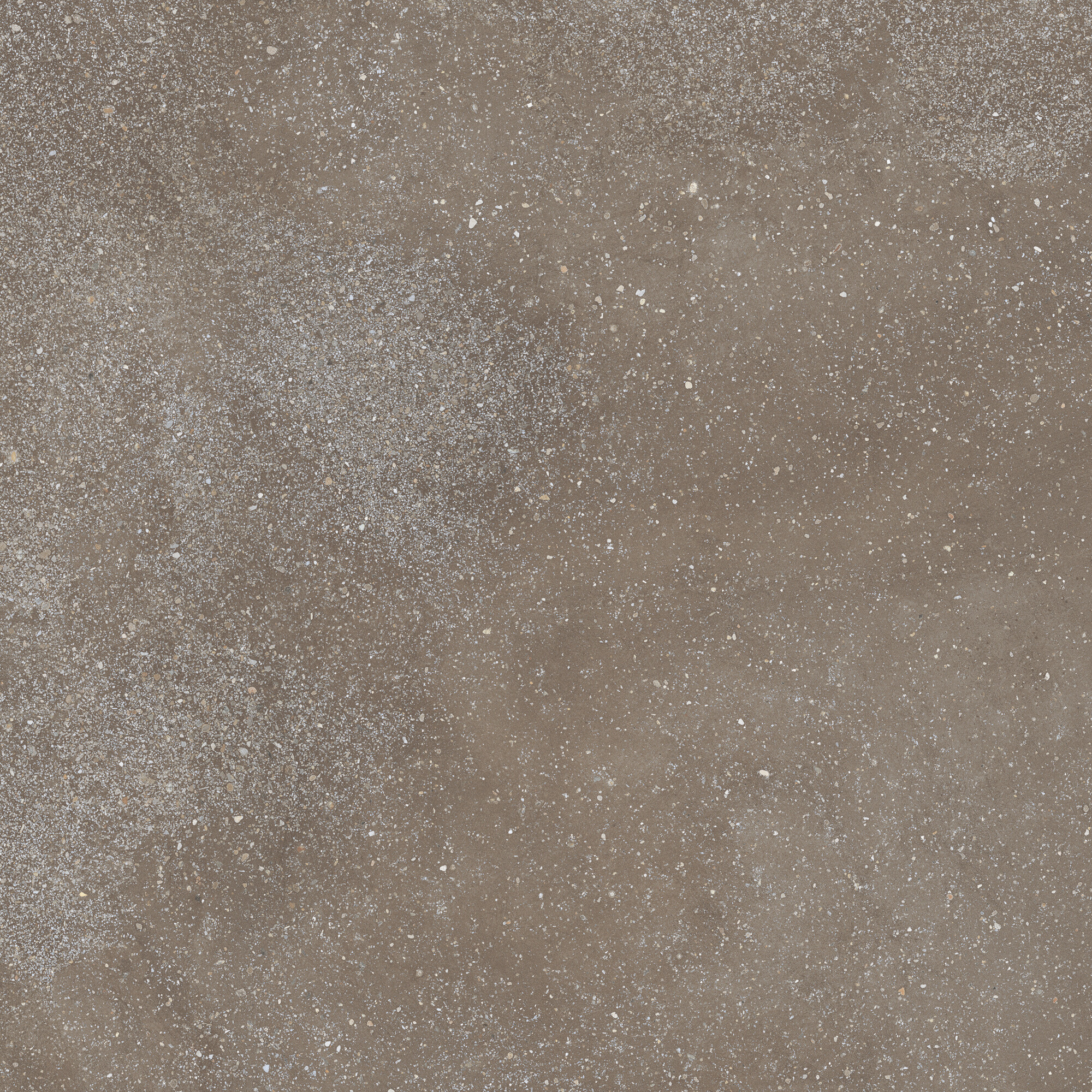 42811 Cosmos Chocolate SP/90X90X0,9/C/R 90x90 Harmony фото 6