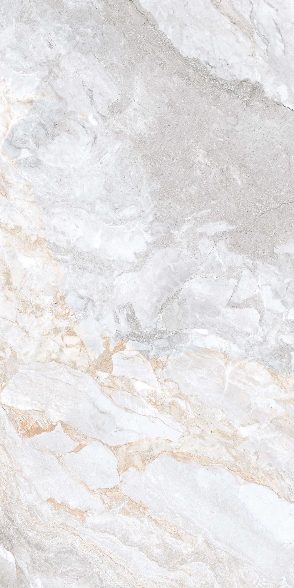CL4006-A Trivola Bianco Carving Lappato 60x120 Arcadia Ceramica