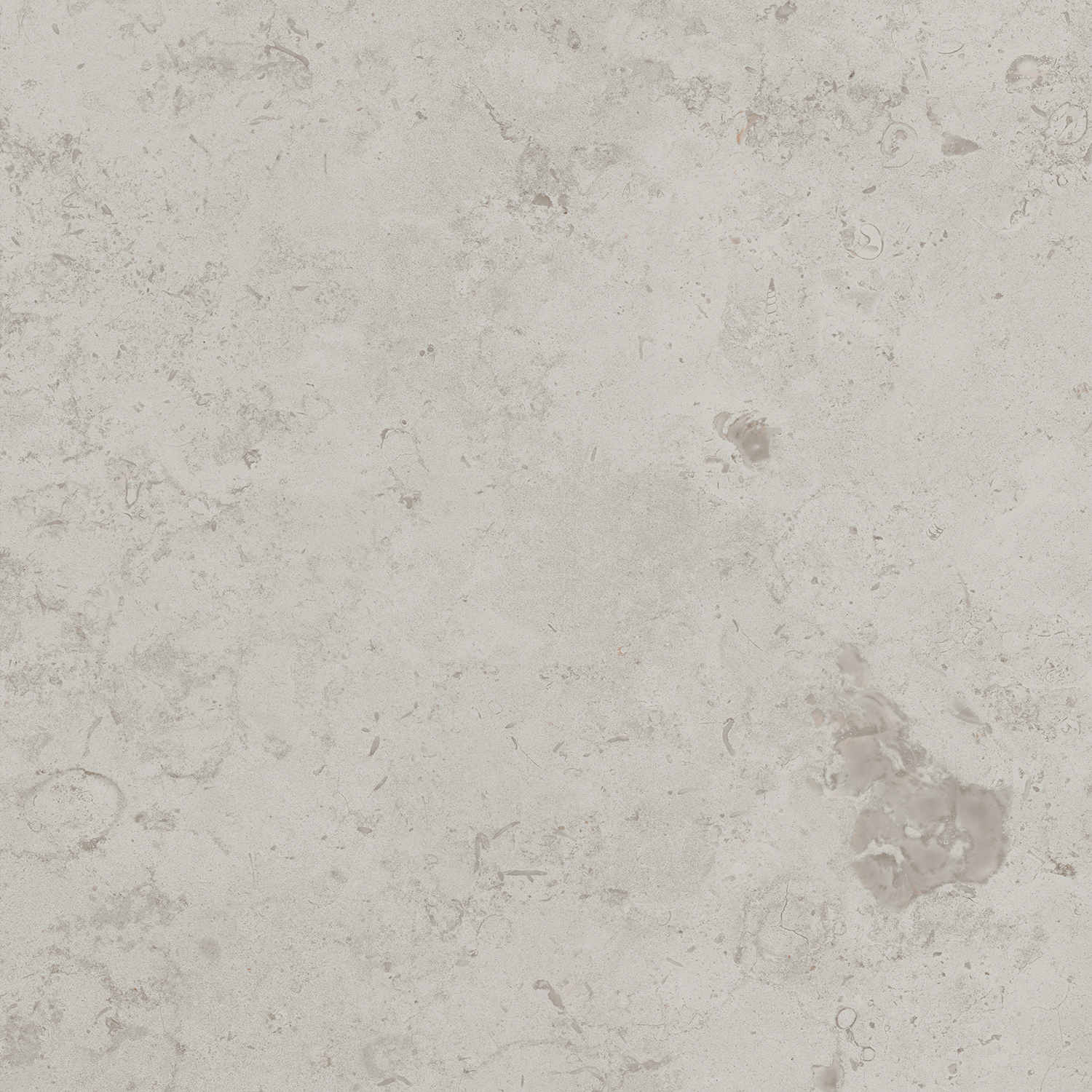 DD641020R Про Лаймстоун серый светлый натуральный обрезной 60х60 Kerama Marazzi