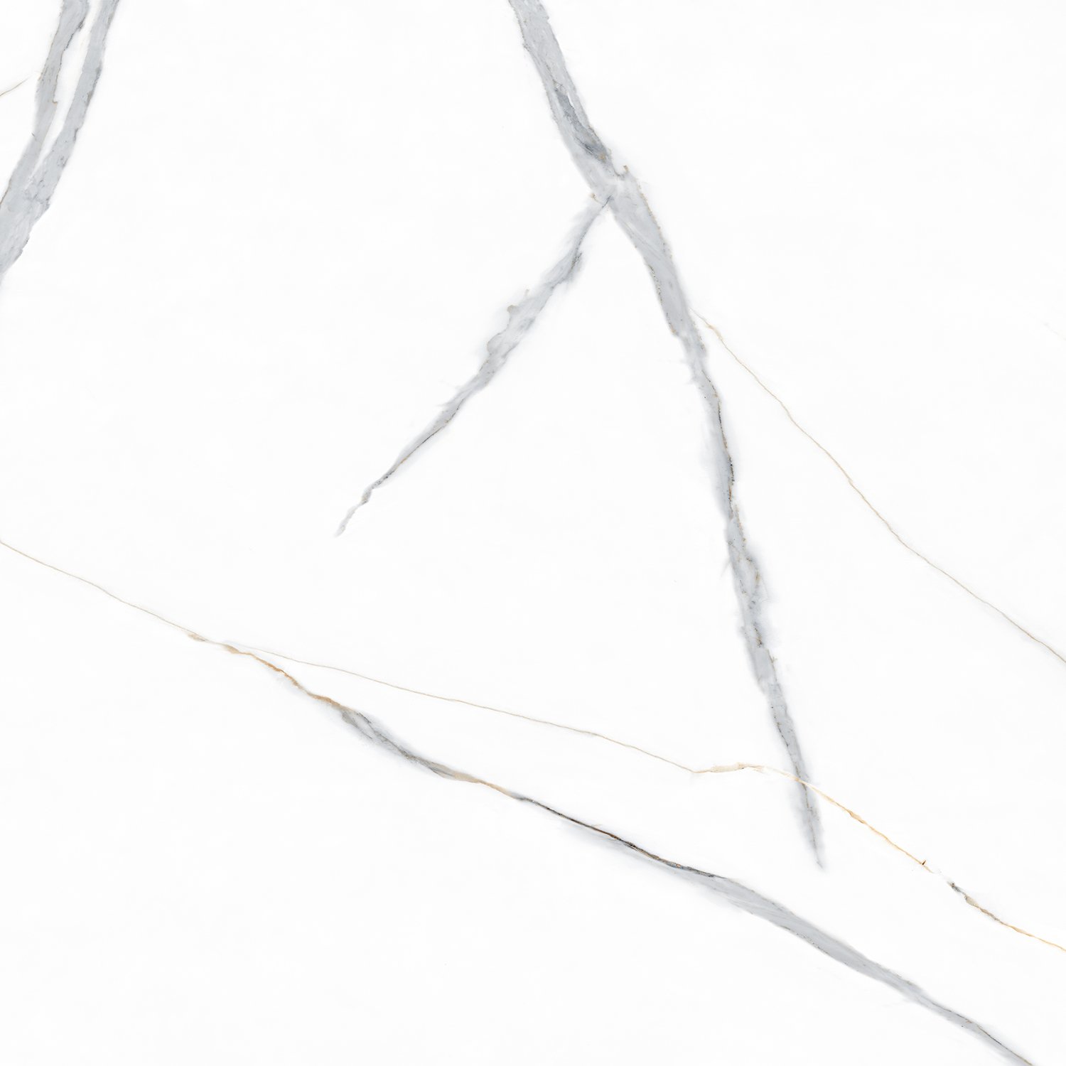 Statuario Gold PGVT 60x60 Casati Ceramica