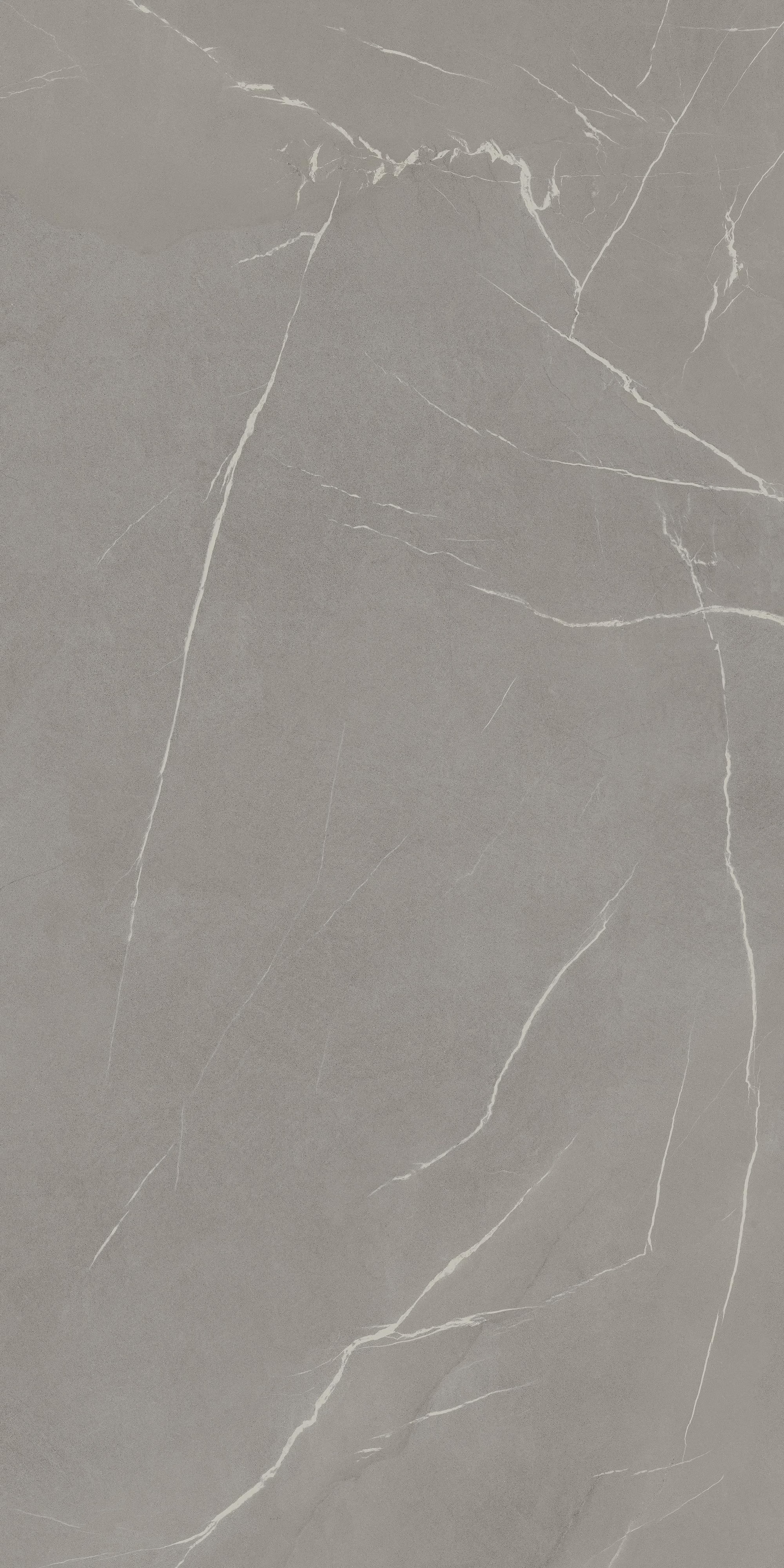 LAMF009354_IT In-side Pietra Piasentina Grigio 20+ 1620x3240 Laminam