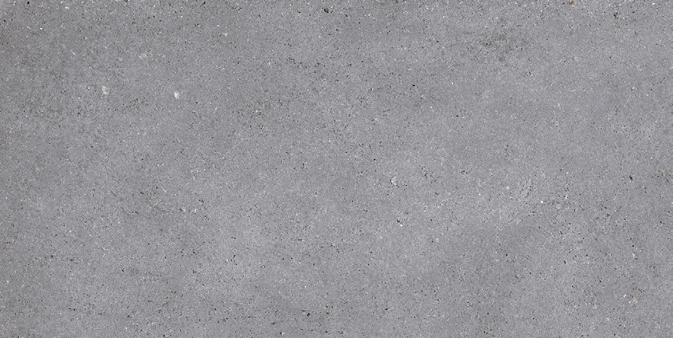NR210 Nemo Grey 60x120 PrimaVera