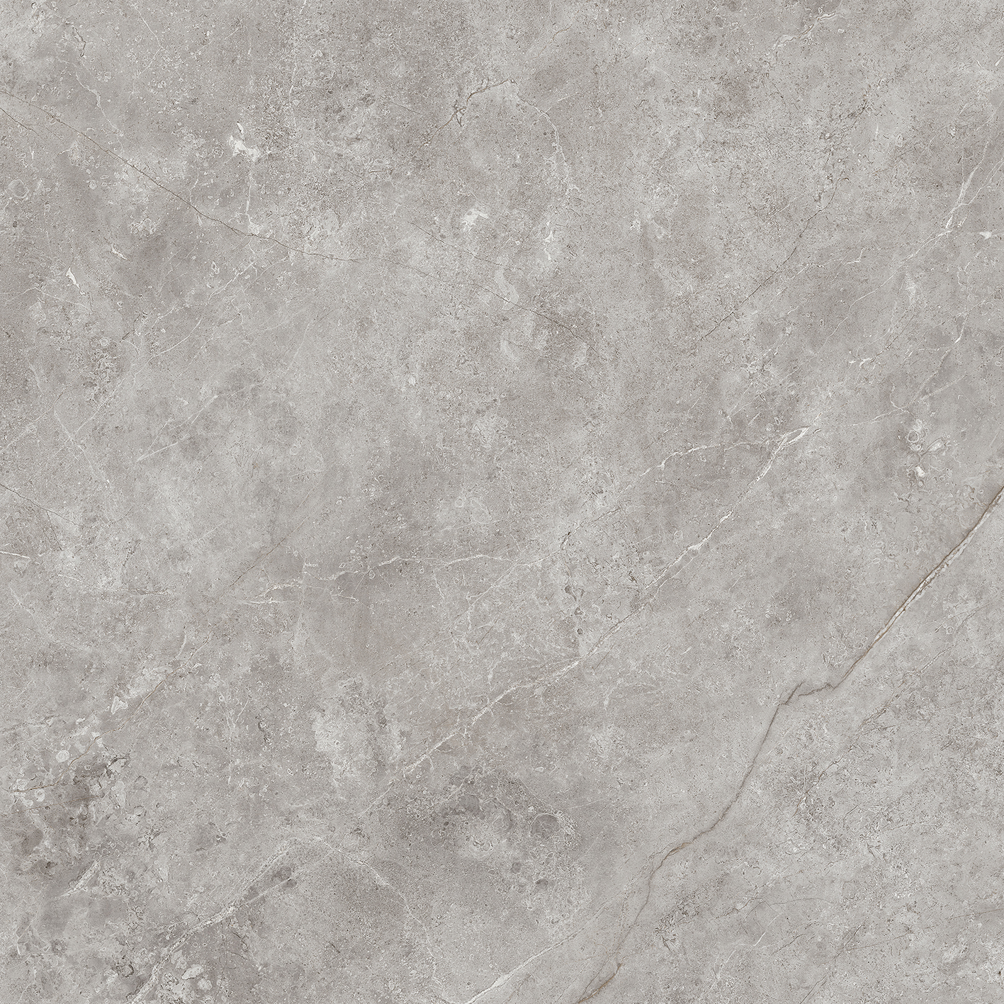 100331094 Fiori Di Bosco Polished 120x120 Urbatek фото 4