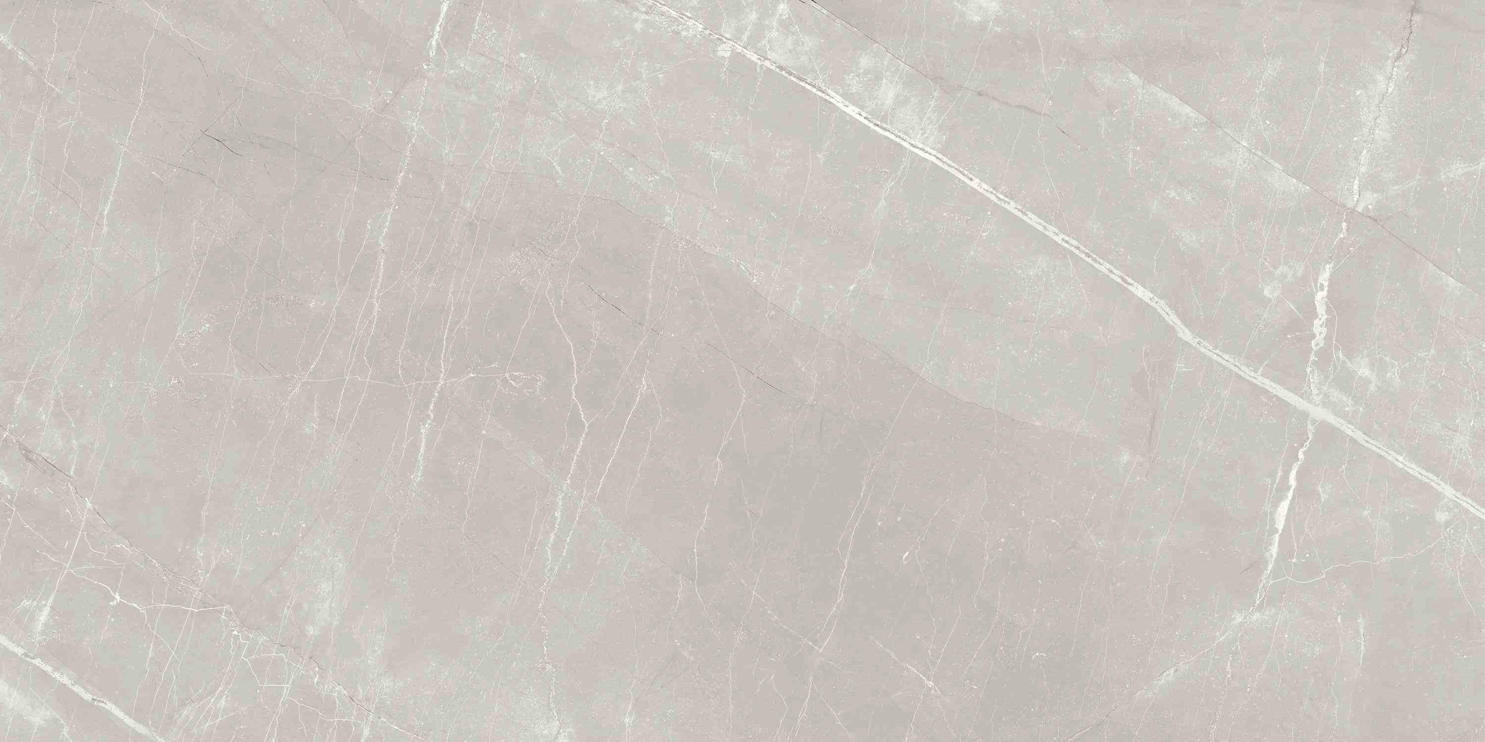 ENSTN7004MT60120 Alaska Grey Matt 60x120 Ennface фото 4