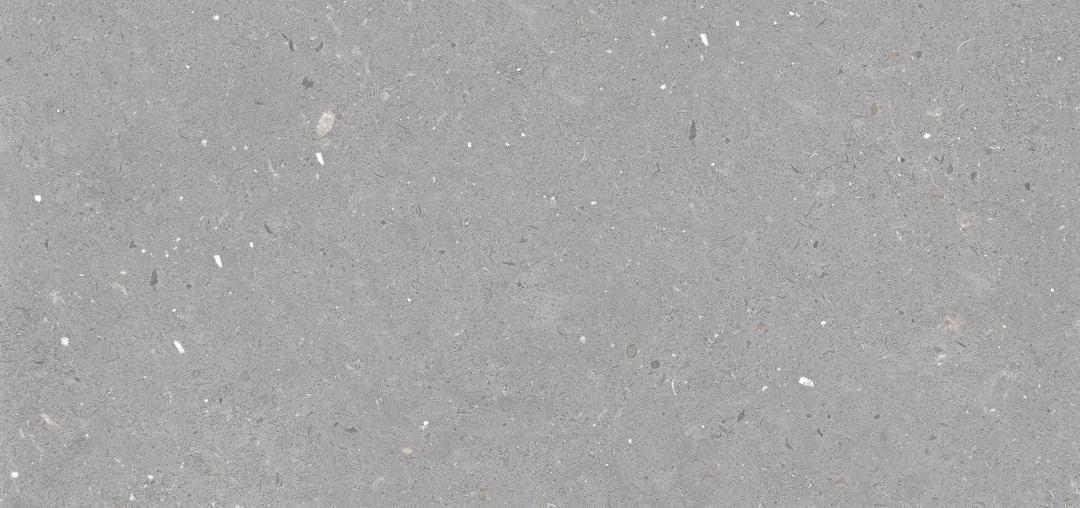 Stx Fossil Grey 59,8х119,8 Simpolo Ceramics