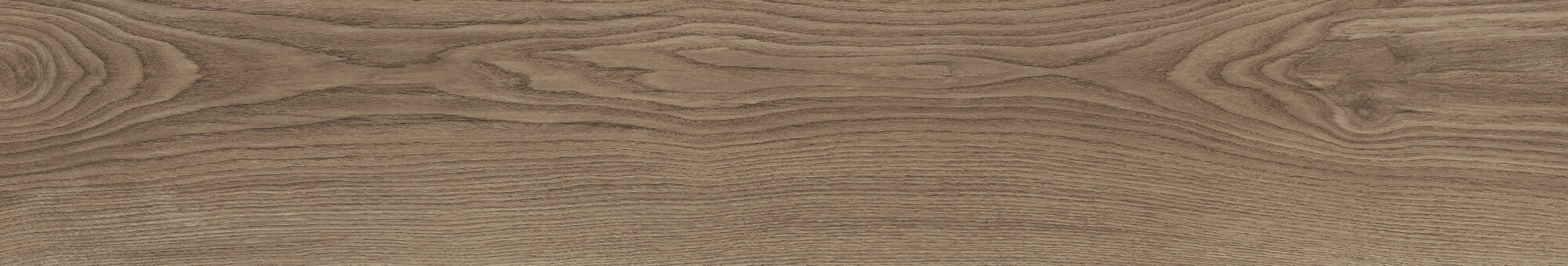41729 Bloom Cognac SP/24x151x0,9/R 24x151 Peronda