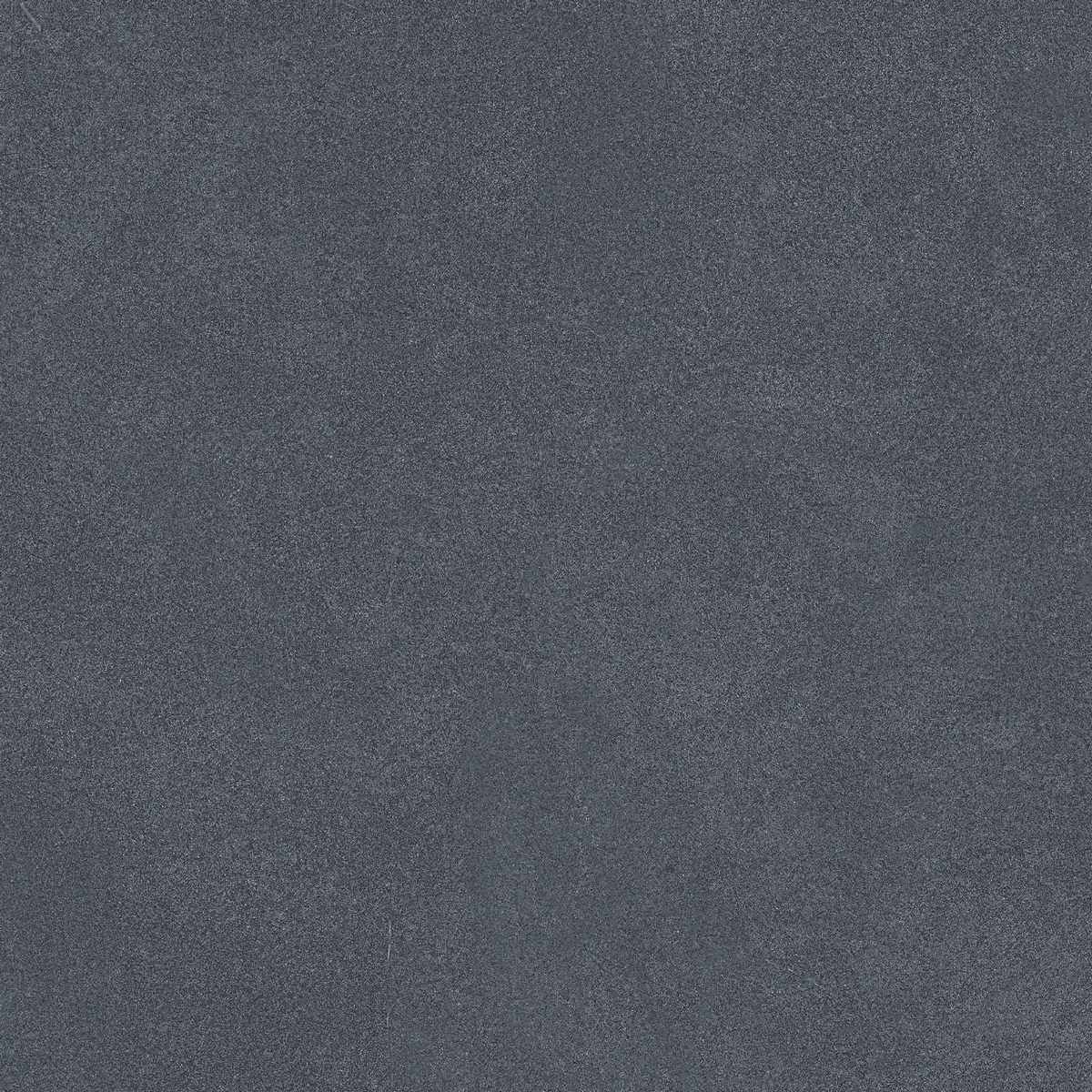 Monotone Panther Matt 20x20 Motto