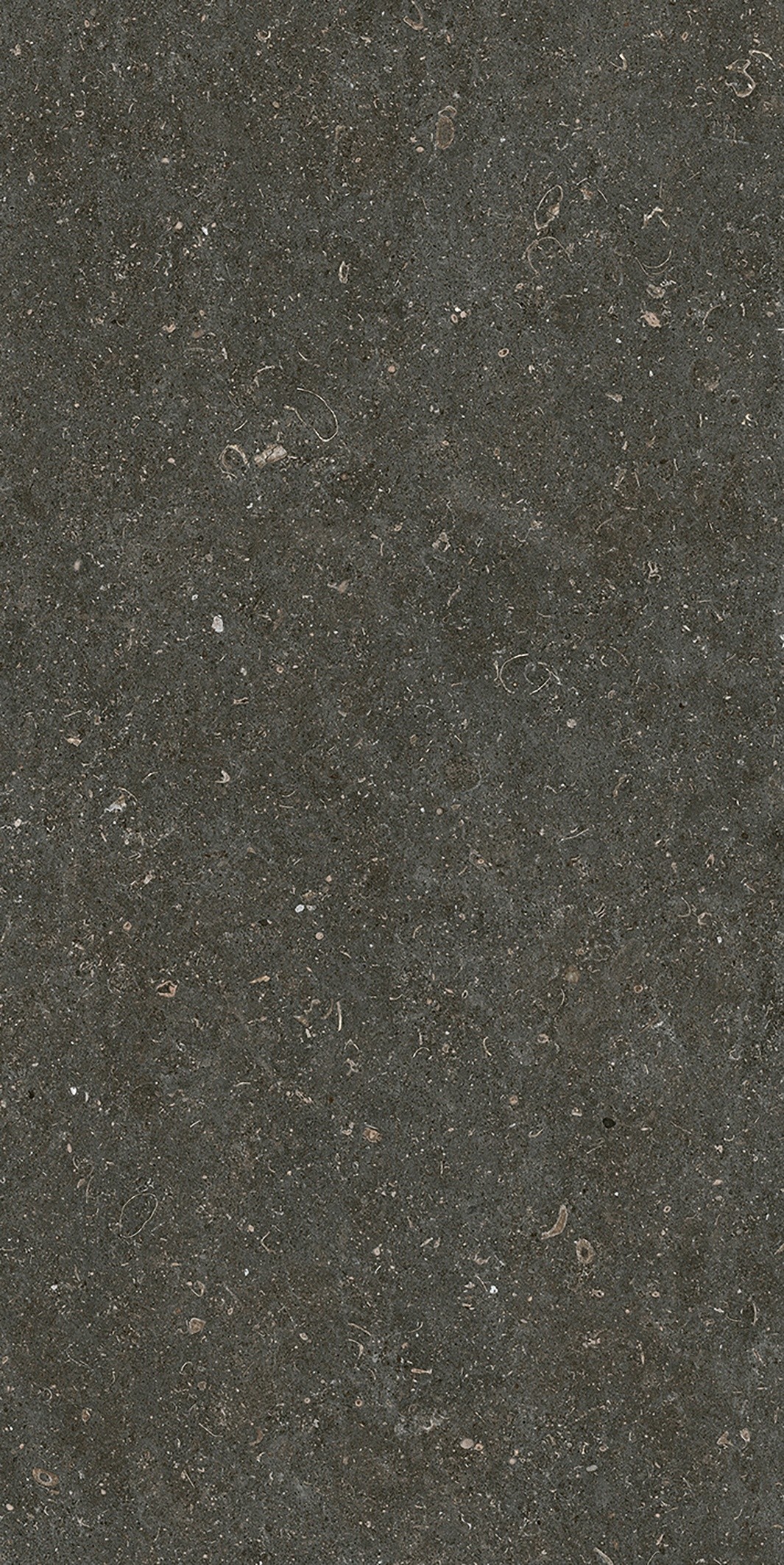 785577 Rinascenza Arena Platino Matte 6mm 60x120 Casa Dolce Casa фото 10