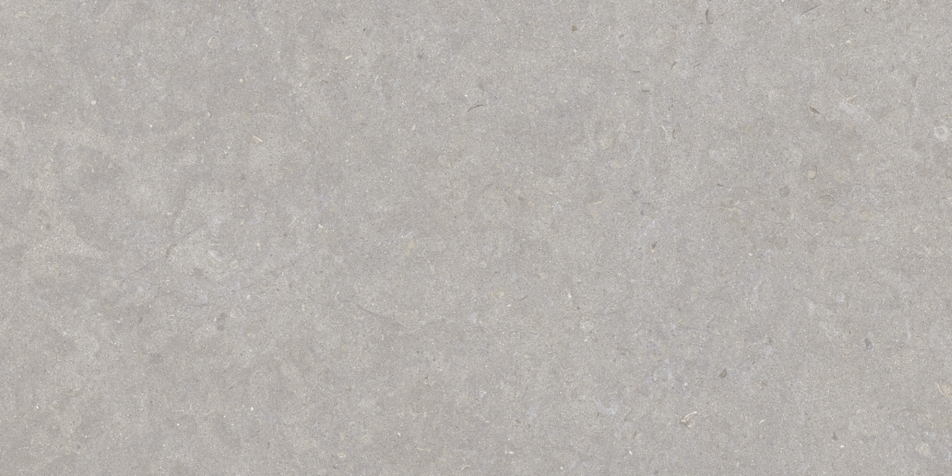 35568 Ghent Grey/50X100X2/A/R 50x100 Peronda фото 19