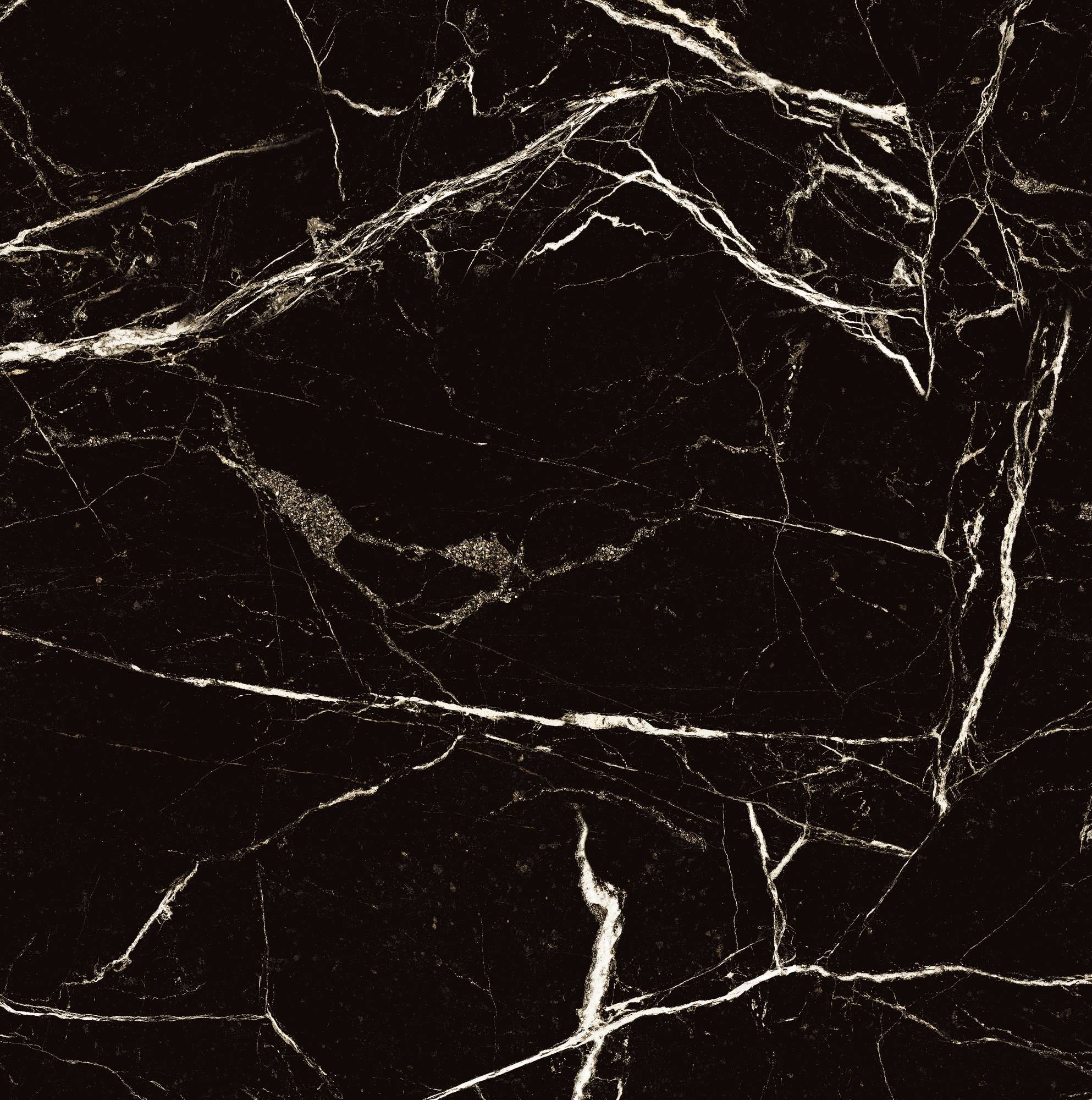 HG2008-A Black Spinder High Gloss 60x60 Arcadia Ceramica
