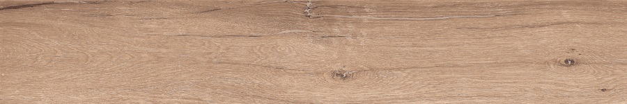 F4501M Forest Nature Decaff Matt 20x120 Buono Ceramica