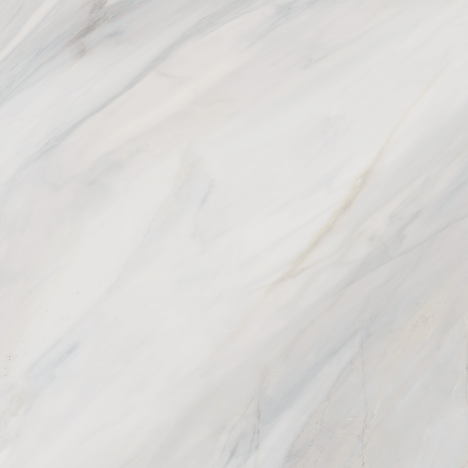 6060CAA03 Carolina Pearl Sugar 600x600x9.5 Delacora