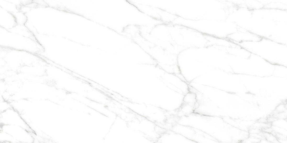 Calacatta Bianco PRO белый матовый R10GR CB 60х120 Laparet