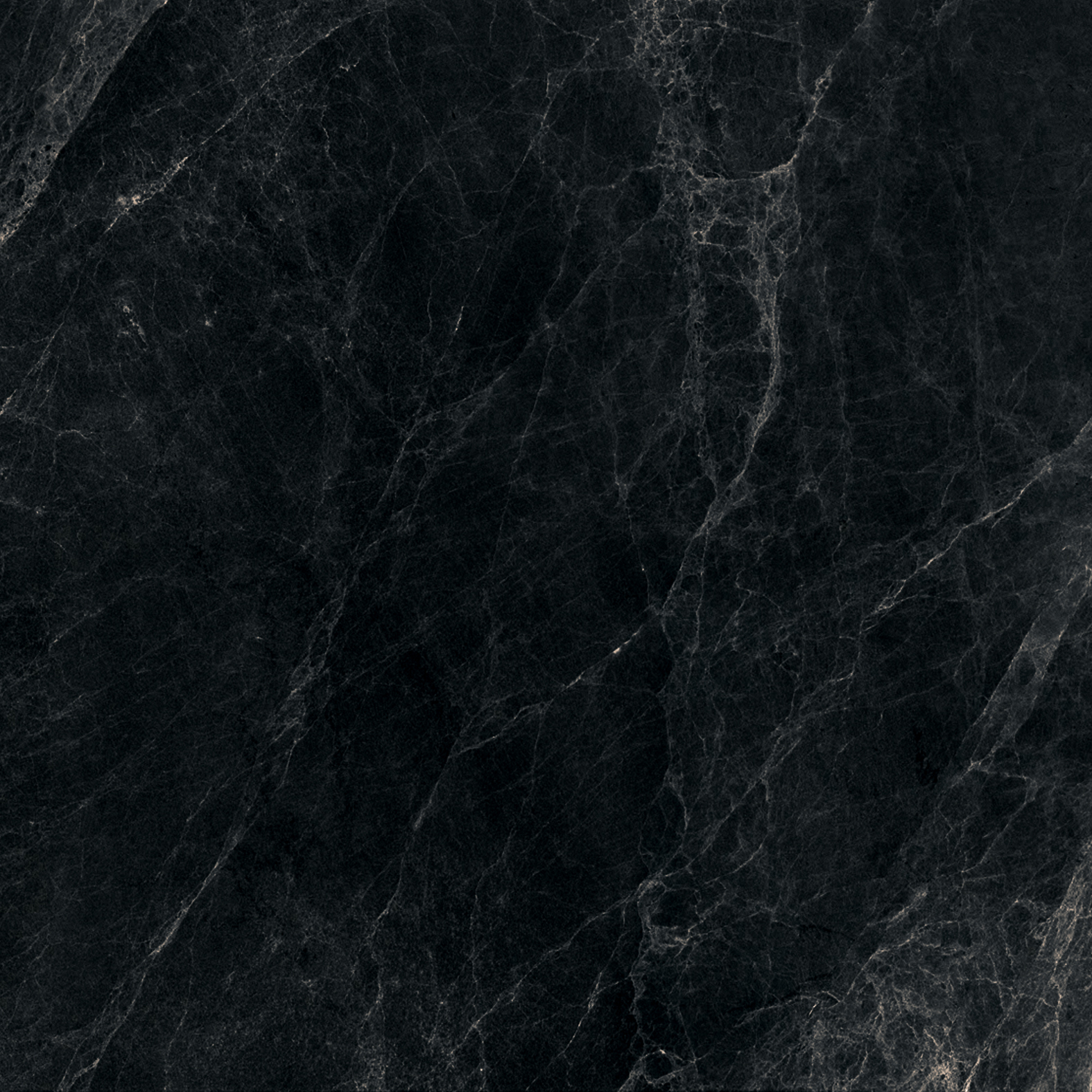 Worner BLACK 60x60 Bluezone