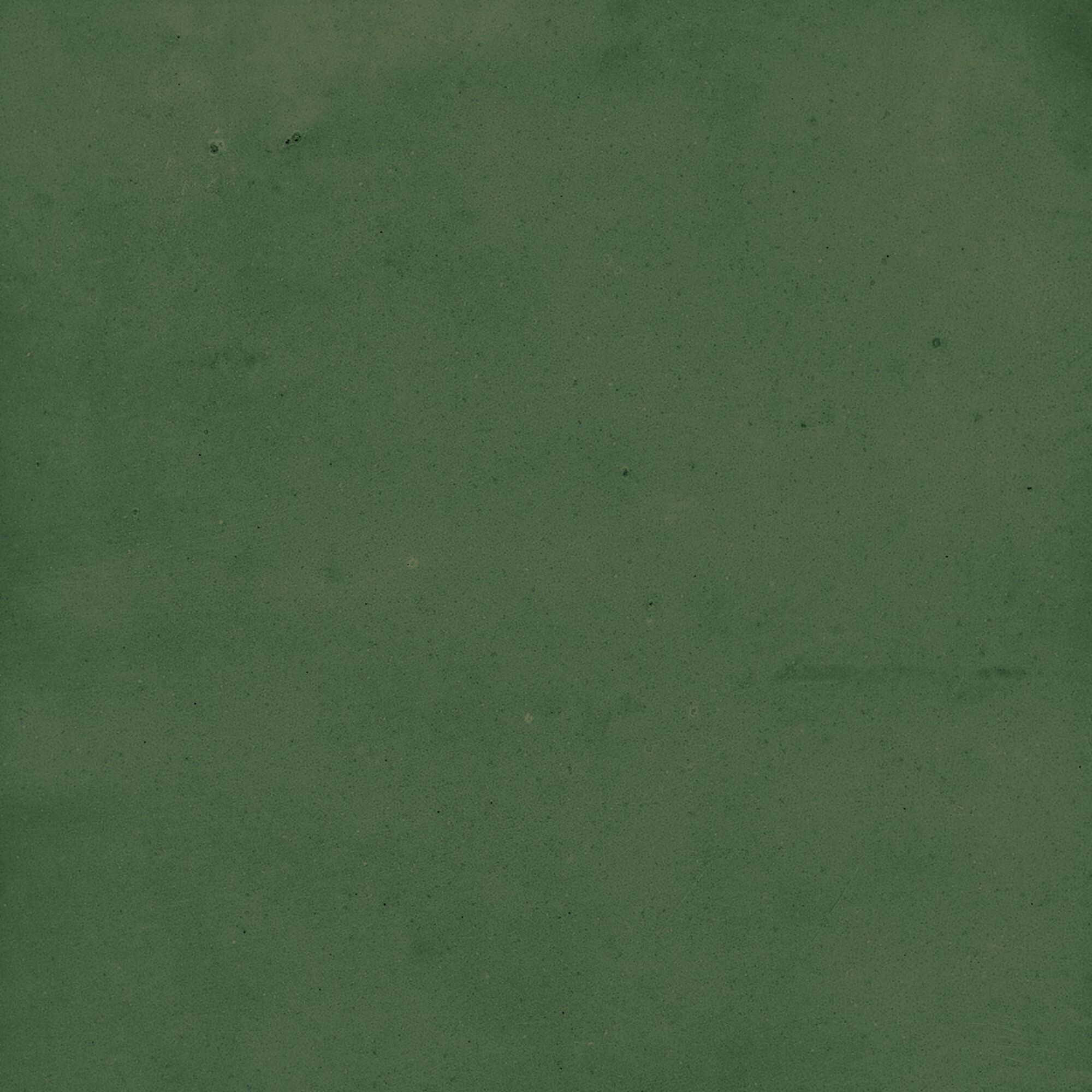 43289 Samira Green 10x10 Harmony фото 48