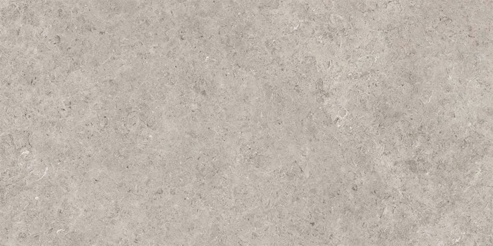 Seashell Natural R10 Carving 60x120 Gravita