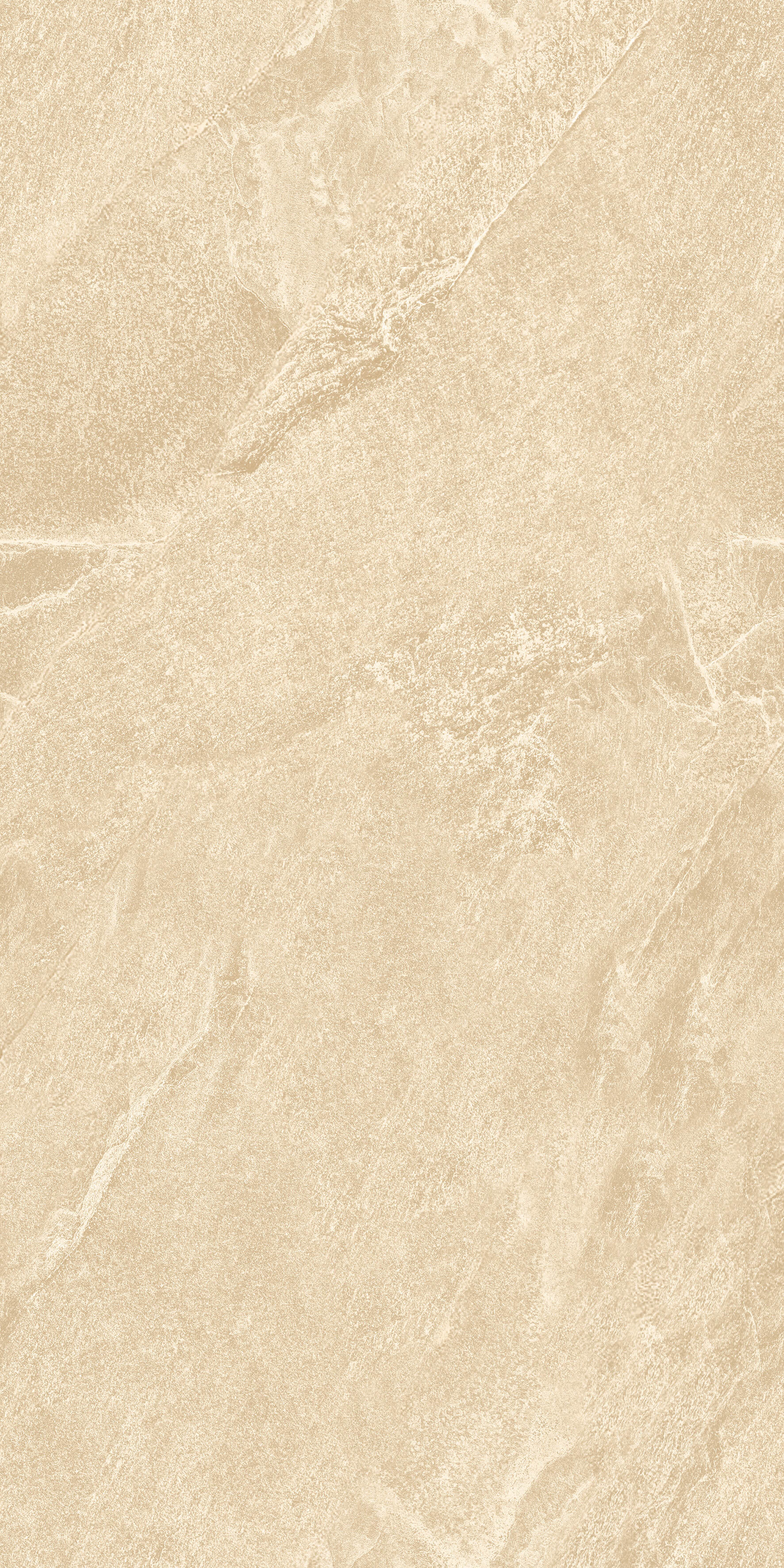 1209 Calcare Ivory Matt 120x60 Artcer фото 2
