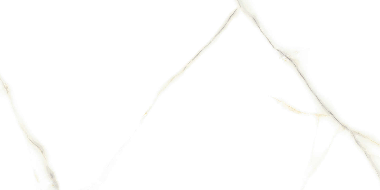 Venato Bianco PGVT 60x120 Casati Ceramica