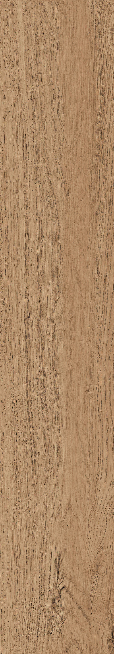 1106 Modena Brown Mate 120x20 Artcer