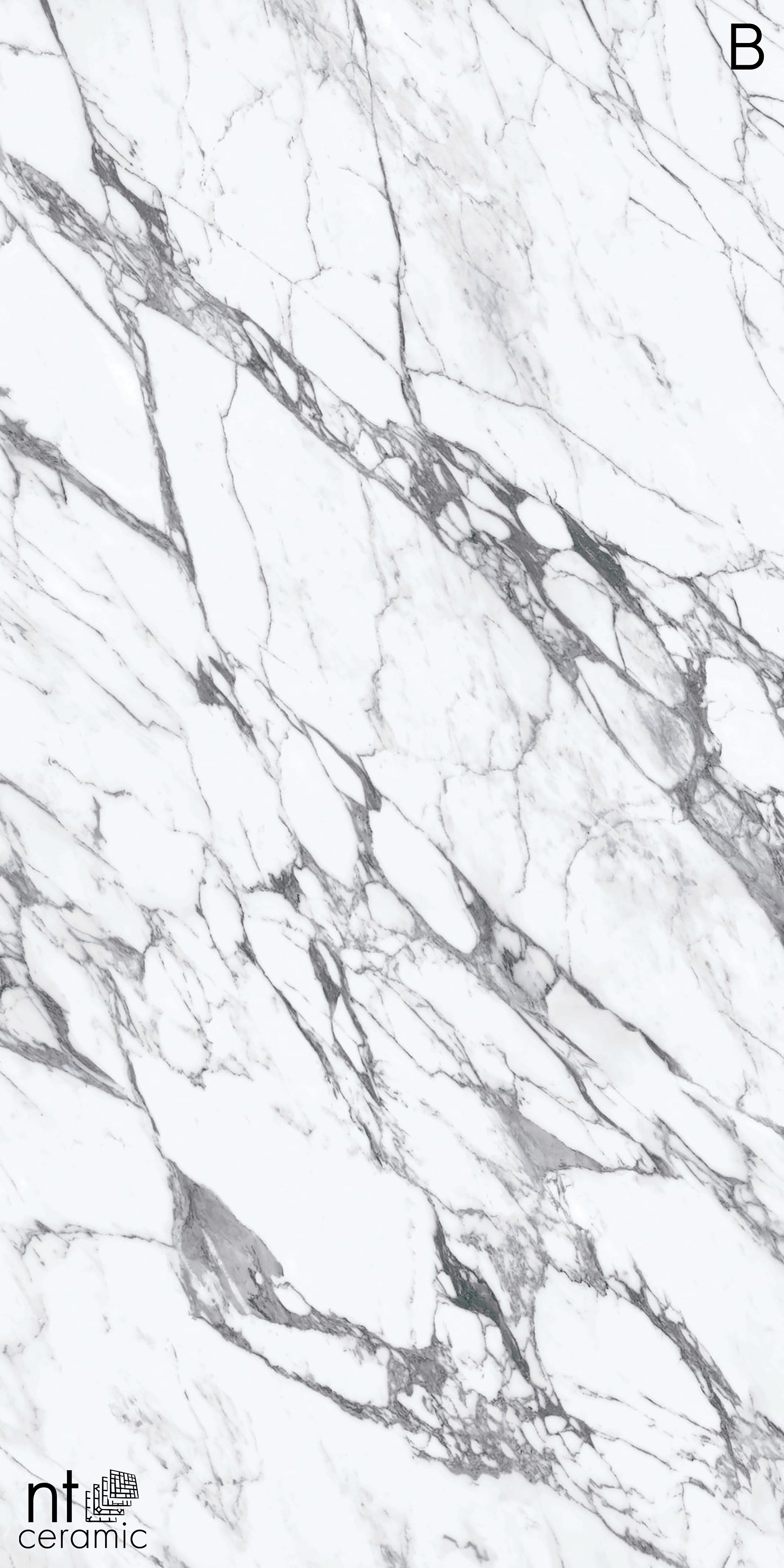 NTT3507L Calaсatta Rock 120x270 NT Ceramic
