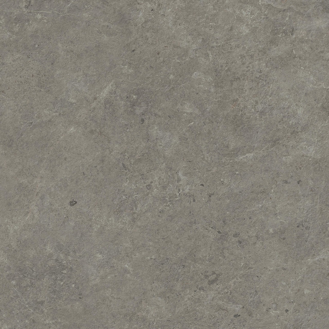 HCQ1 Nyra Meteor Matt 120x120 Atlas Concorde фото 10