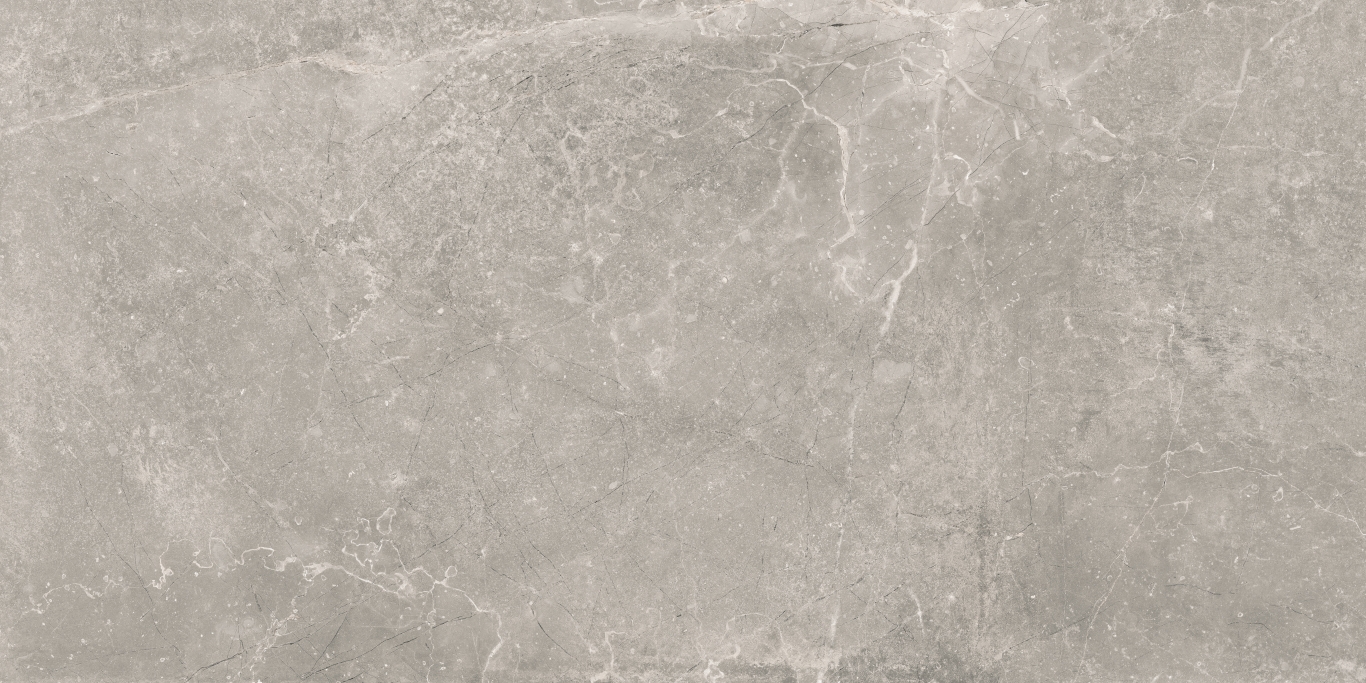 Concept Gray Pulido 60x120 Baldocer
