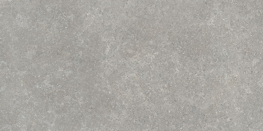 SandStone Серый Матовый R10A Ректификат 9мм 60х120 Vitra