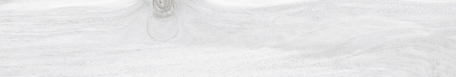 Tasmania Frost 20x120 Ecoceramic