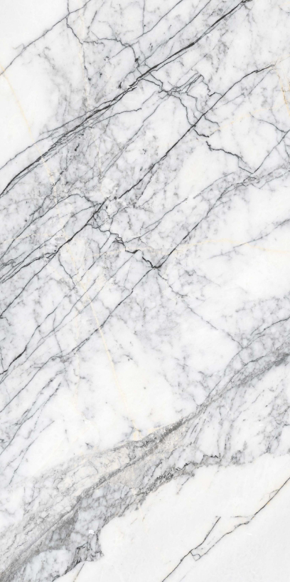 SPIDER WHITE GLOSSY 60x120 Maimoon Ceramica