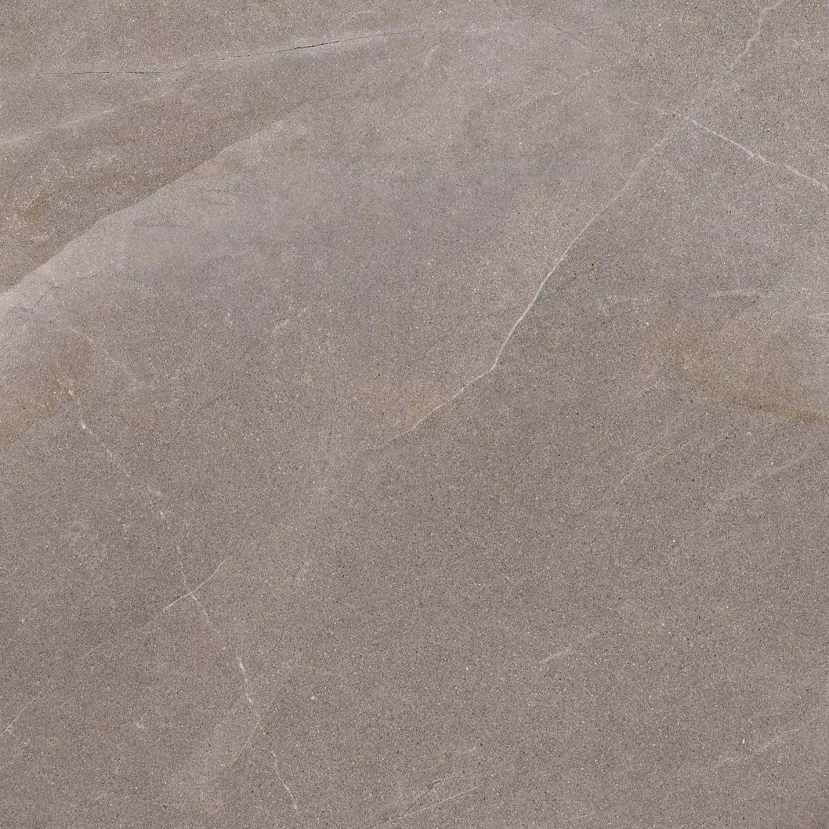 Pulpis Light Grey 60x60 Prime Ceramics
