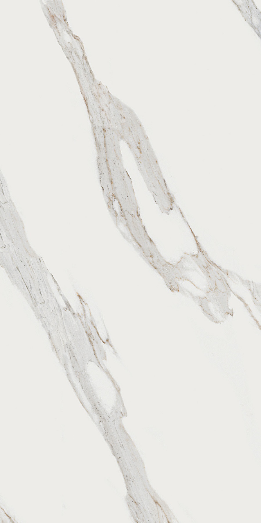 Calacatta Reale JW 02 Luc 60x119.7 Mirage