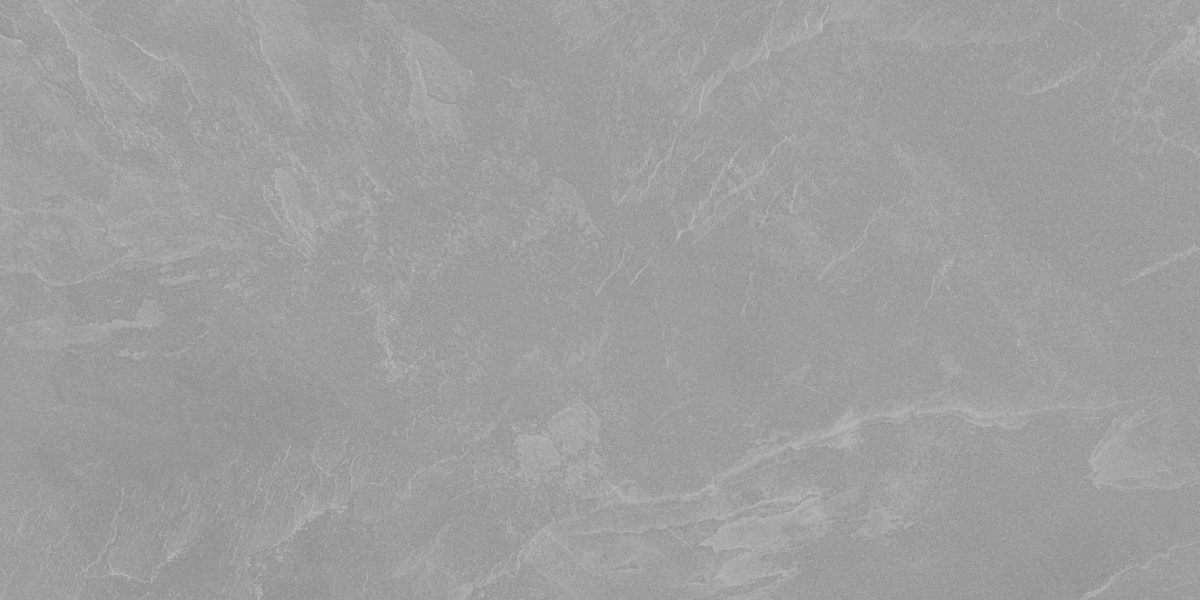 Archie Grey Pro серый матовый R10GR STR 60х120 Laparet