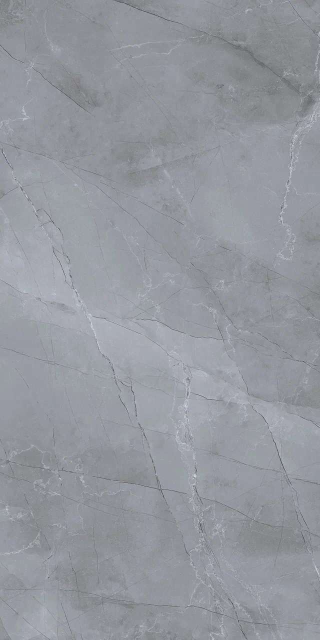 Jordan Dark Grey 600x1200 BELLEZA фото 7