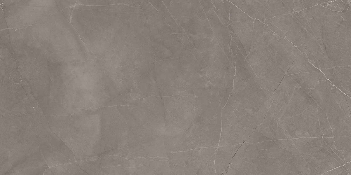 Stone Micado Grey Серый Полированный 60х120 Ceradim