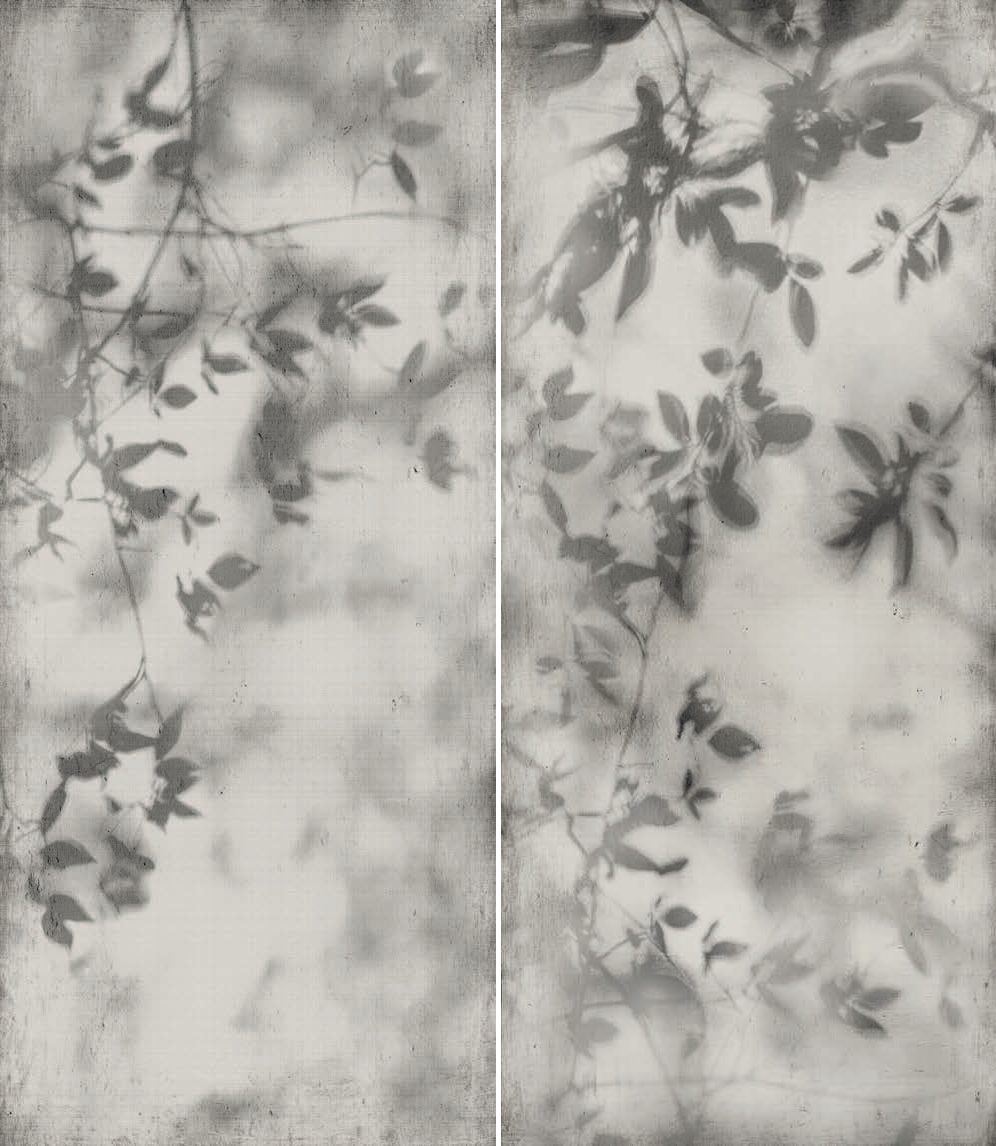 PF60010089 Art Walls Shadow Nat R 120x280 Flaviker
