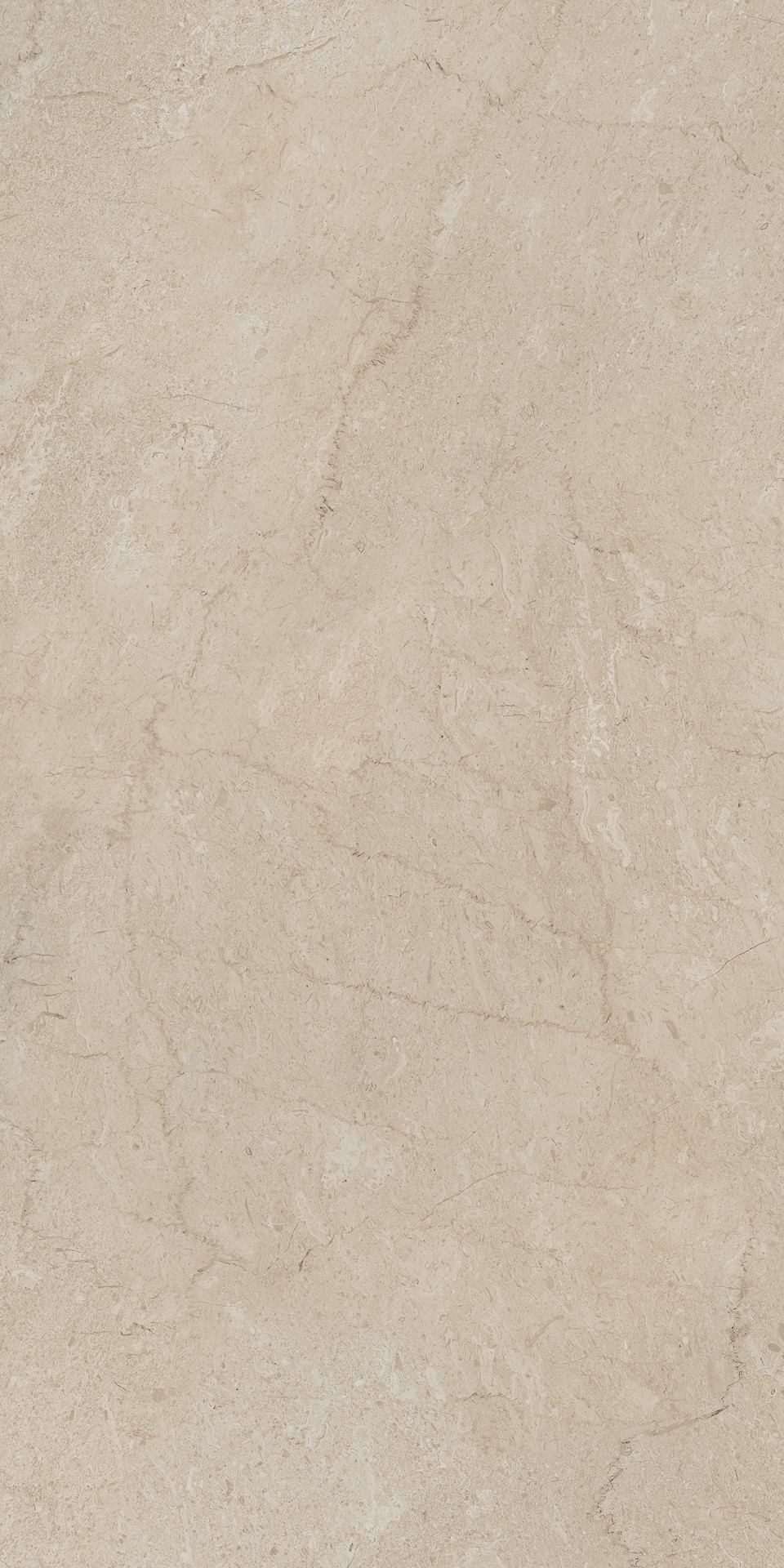 AEM01 Элемента Бежевый Неполированный Рект 60x120x9 Ametis by Estima фото 2